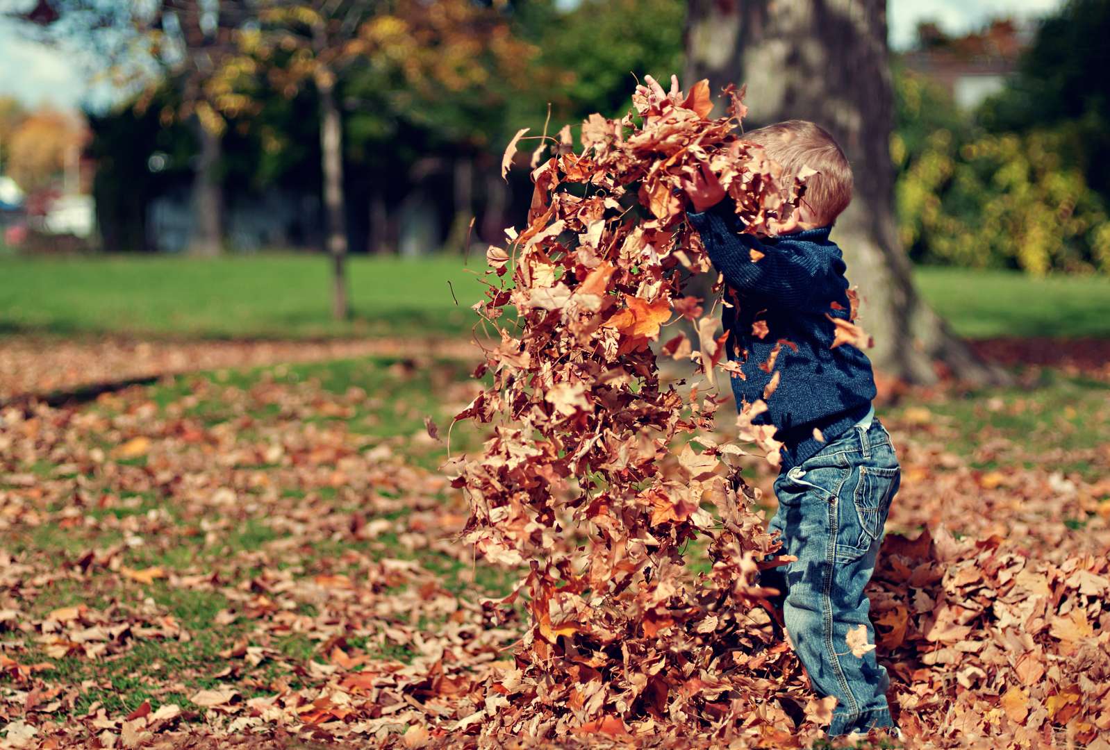 Les limites à nos enfants