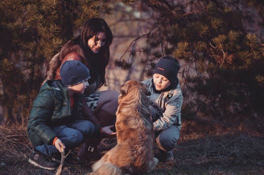 Le temps de l'enfant et de l'adulte