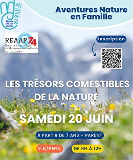 affiche nature montagne herbes